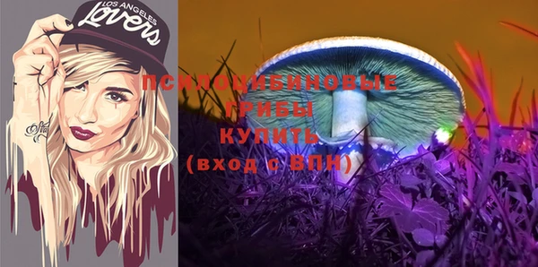 амфетамин Алексин