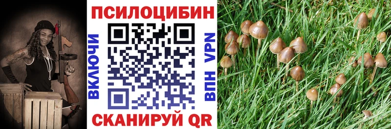 Галлюциногенные грибы Magic Shrooms  цена   Агрыз 