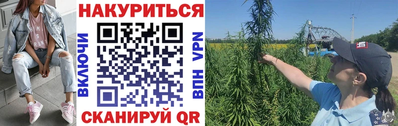нарко площадка Telegram  Агрыз  Бошки марихуана индика  сколько стоит 
